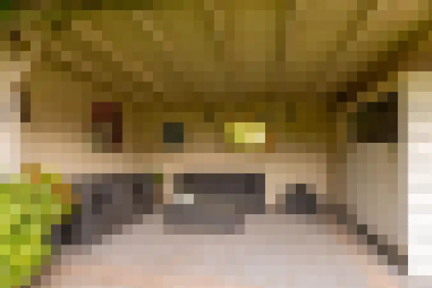 Kienstobbe 9 Zuidwolde thumbnail 51