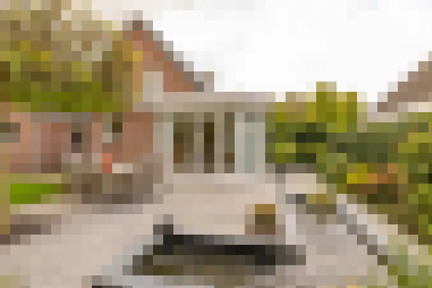 Kienstobbe 9 Zuidwolde thumbnail 53