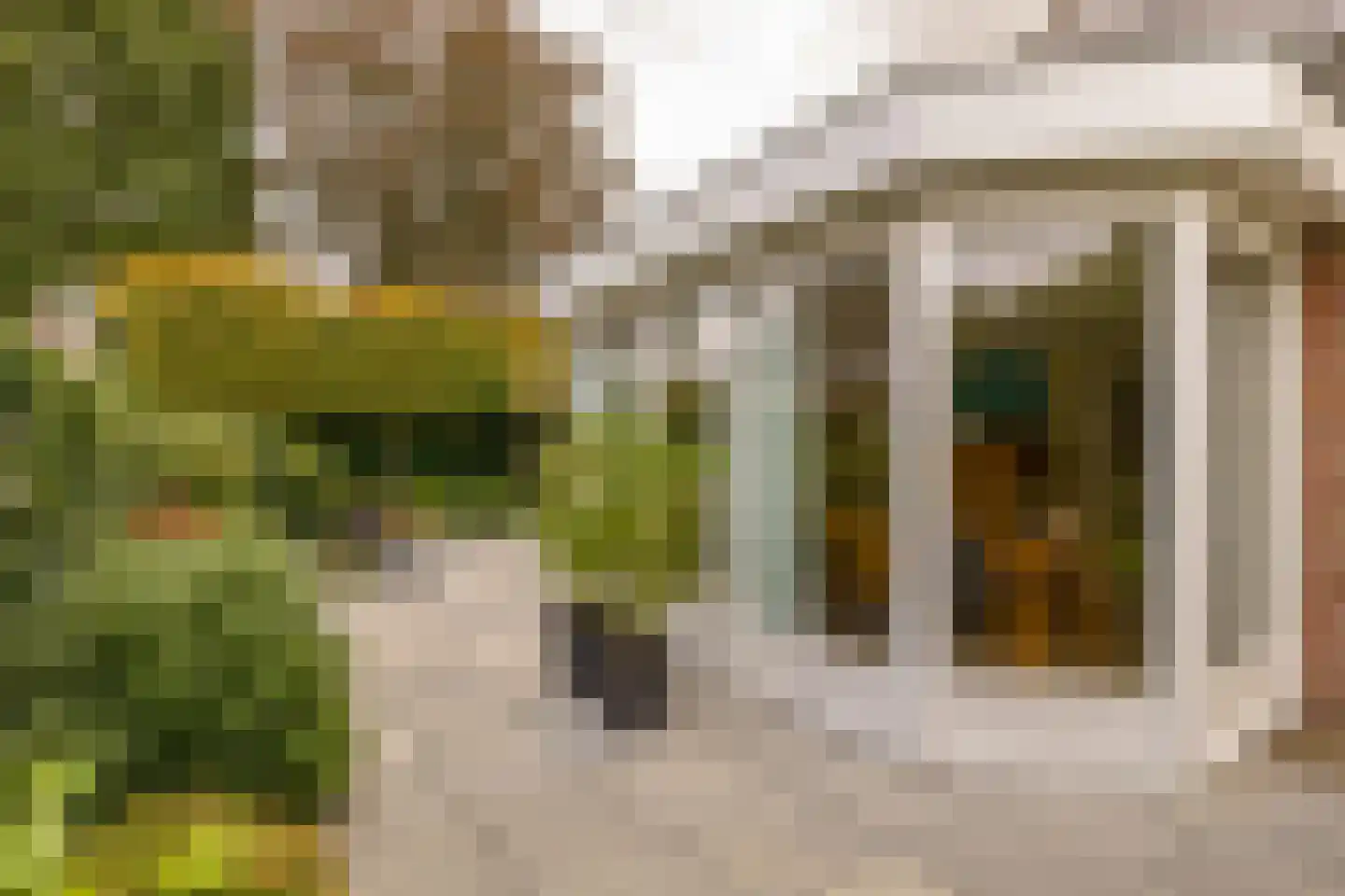 Kienstobbe 9 Zuidwolde thumbnail 54