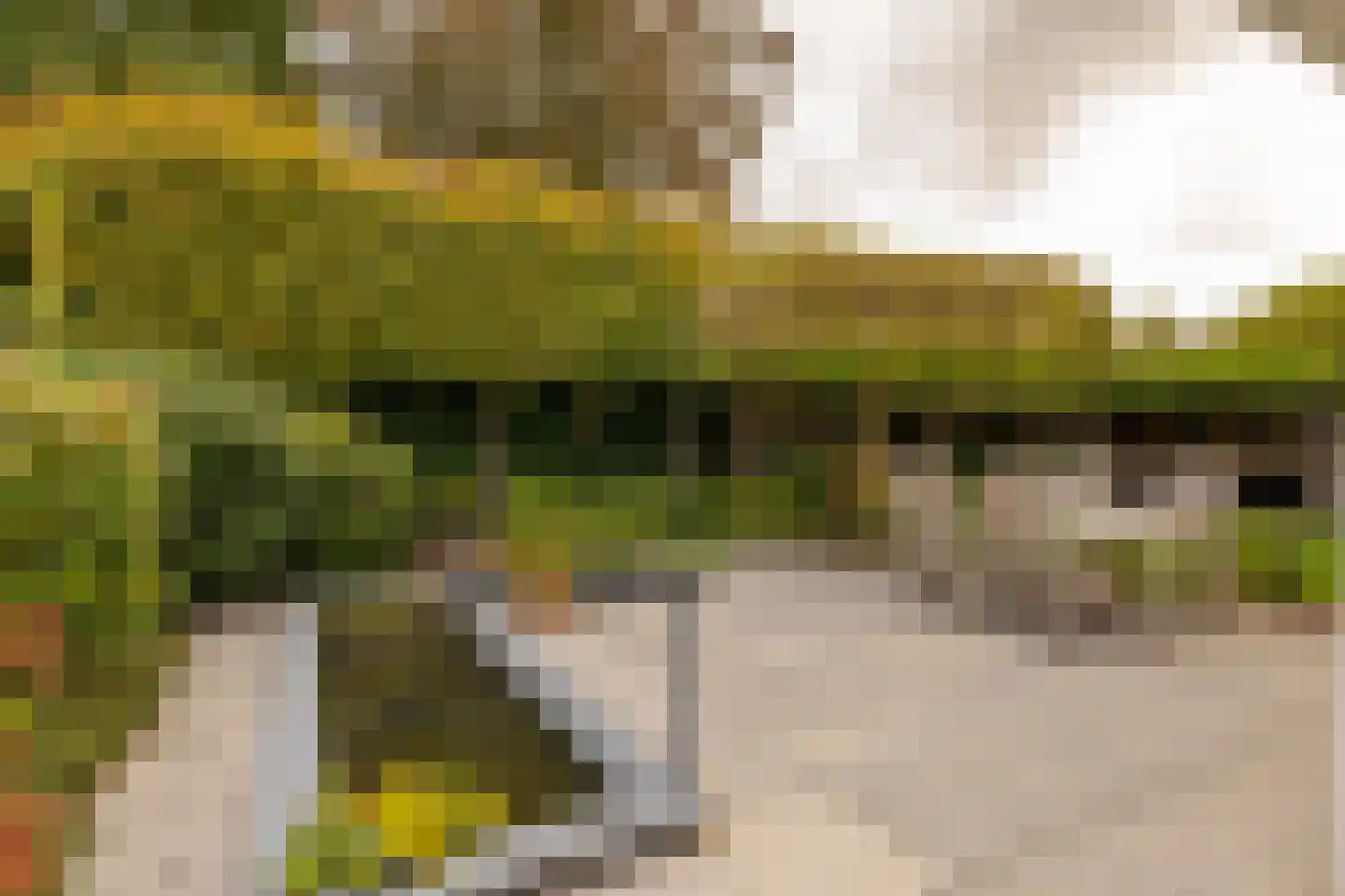 Kienstobbe 9 Zuidwolde thumbnail 55