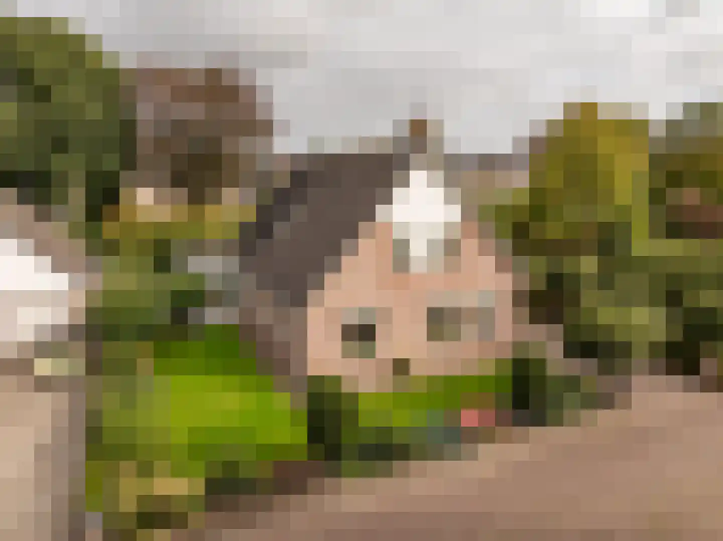 Kienstobbe 9 Zuidwolde thumbnail 56
