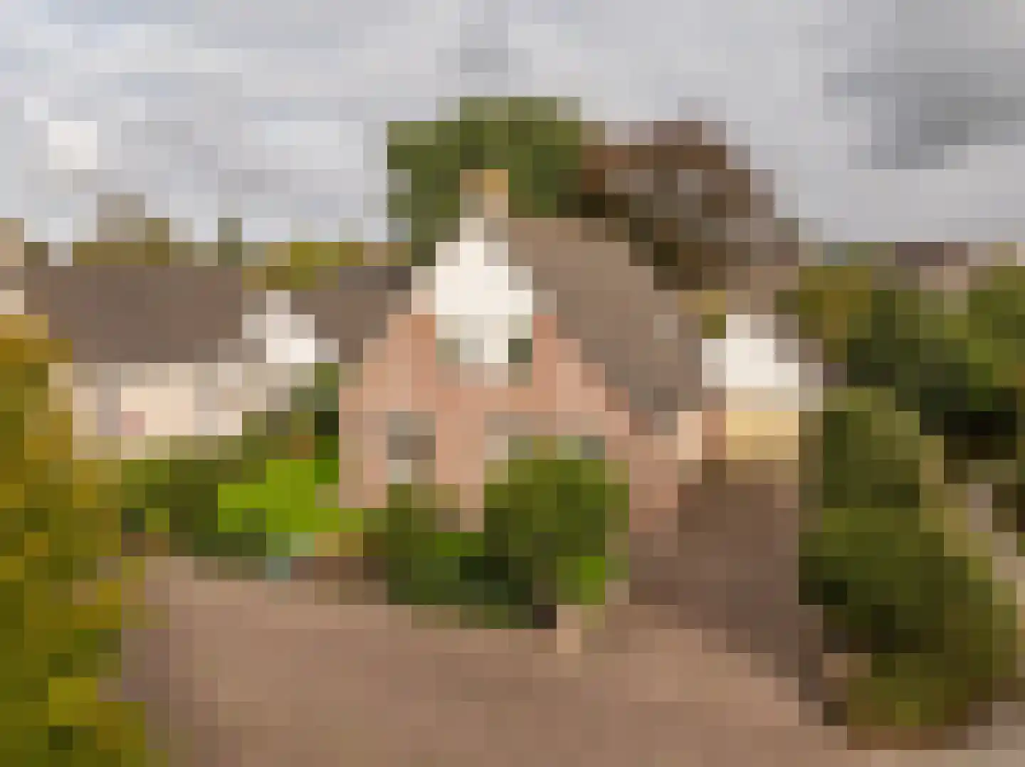 Kienstobbe 9 Zuidwolde thumbnail 57