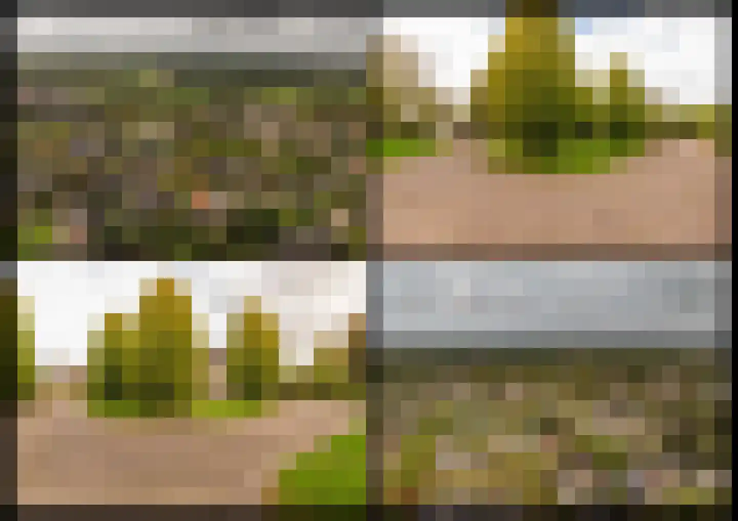Kienstobbe 9 Zuidwolde thumbnail 58