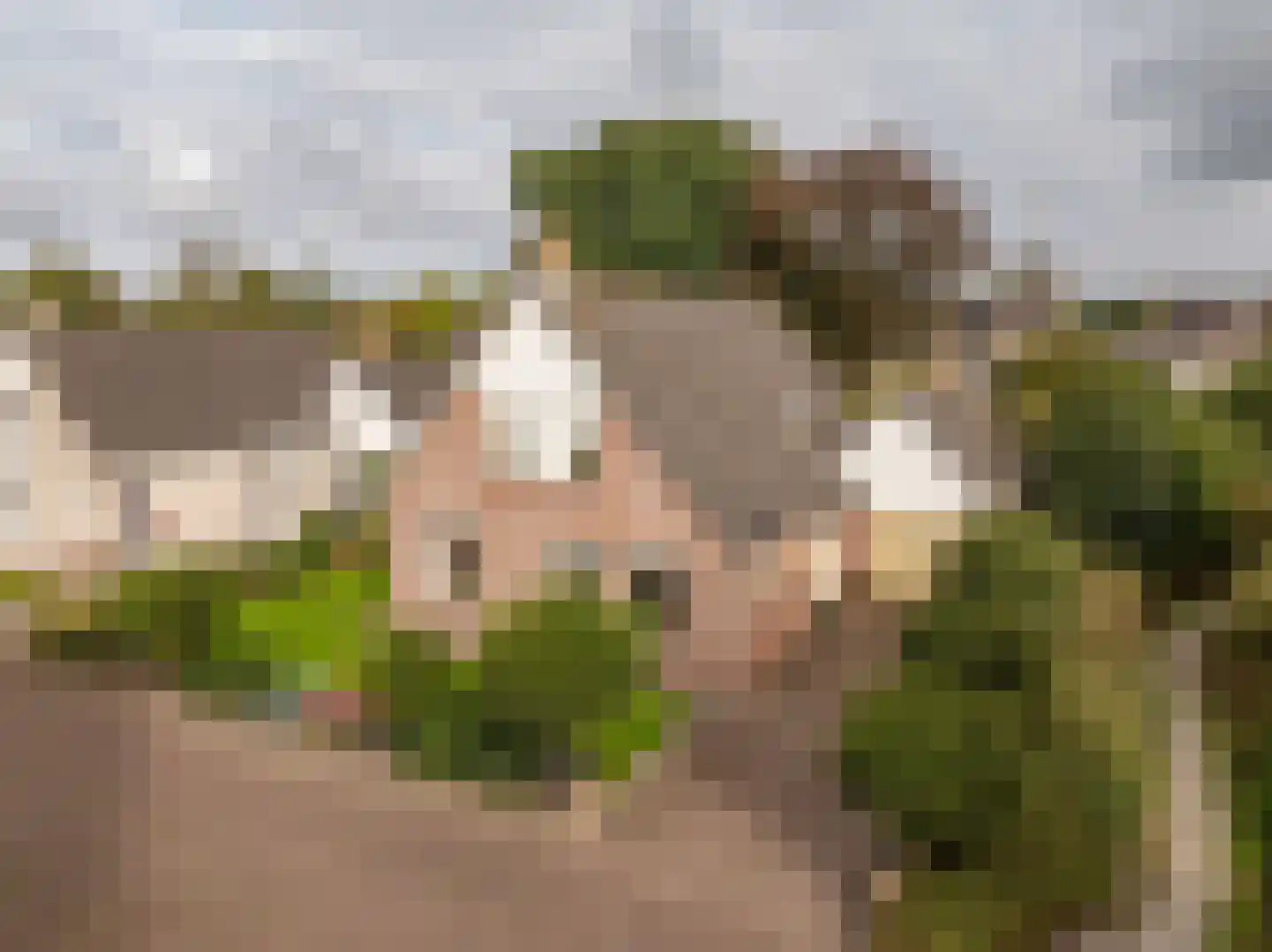 Kienstobbe 9 Zuidwolde thumbnail 6
