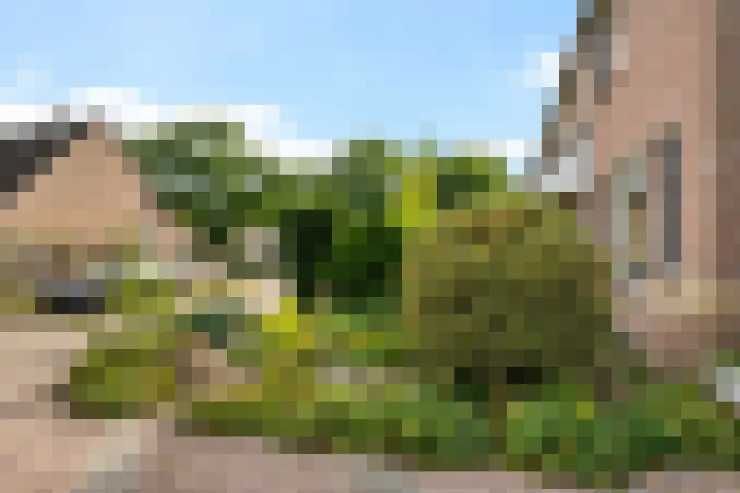 Kiepheugte 10 Assen thumbnail 37