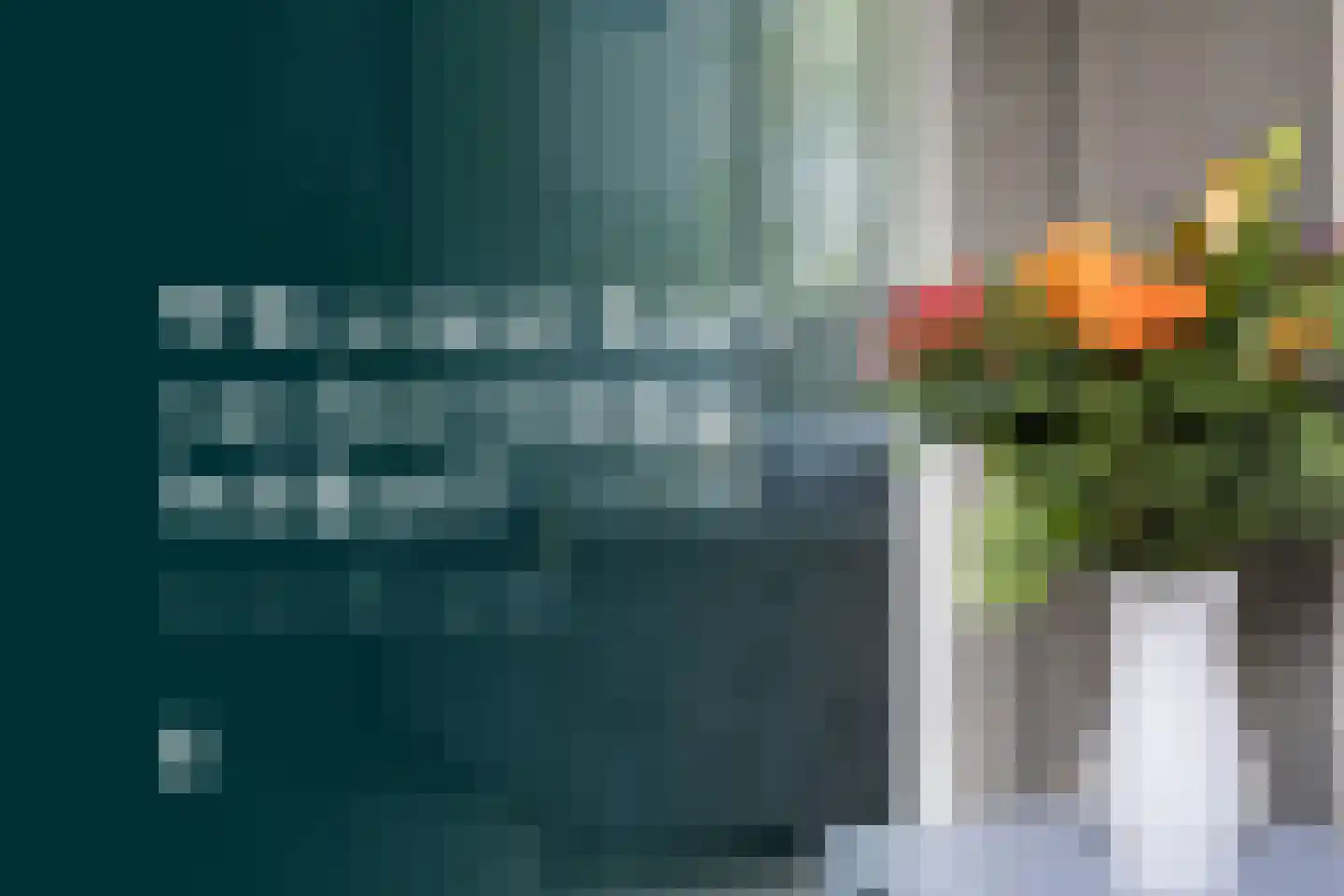 Kiepheugte 14 Assen thumbnail 6