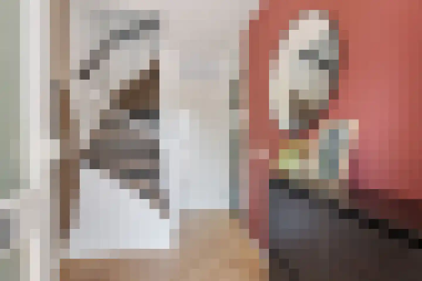Kiepheugte 14 Assen thumbnail 7