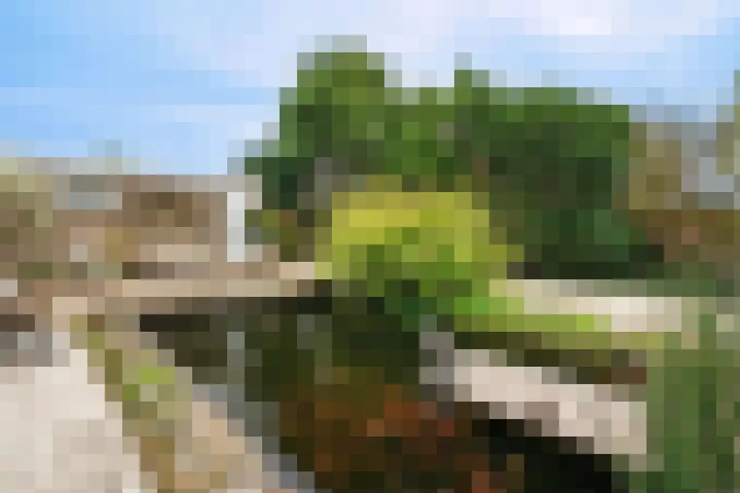 Kierkamperweg 13 Bennekom thumbnail 50