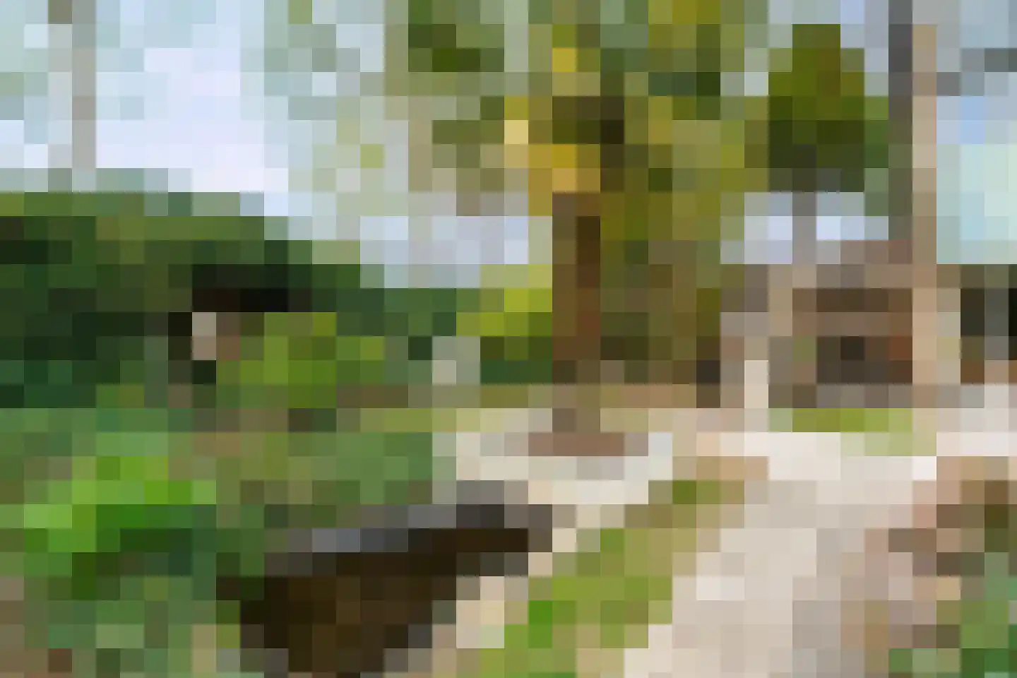 Kierkamperweg 13 Bennekom thumbnail 53