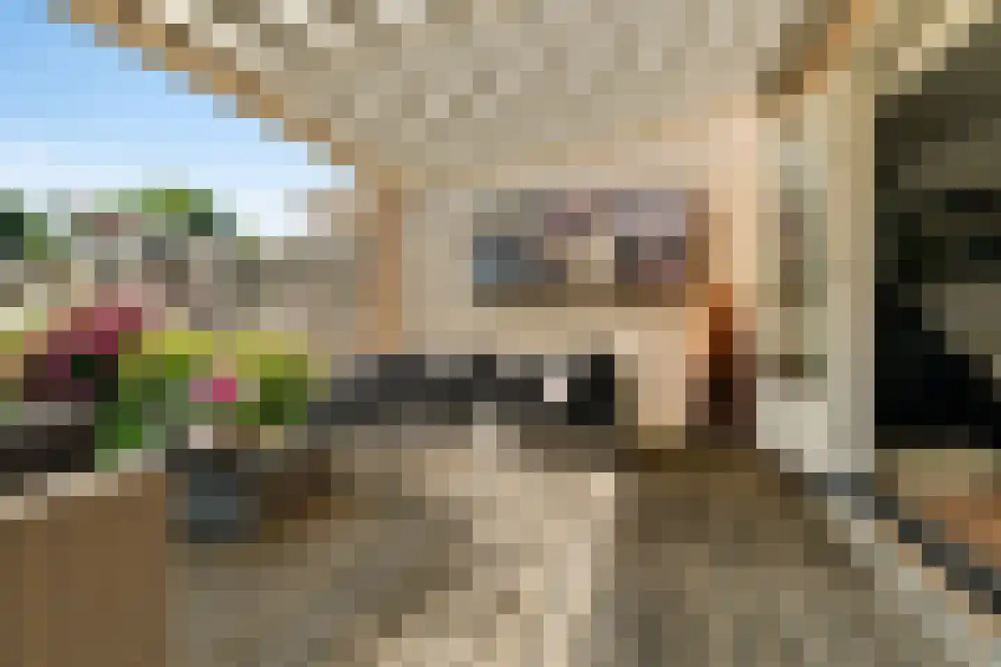 Kierkegaardhof 29 Huizen thumbnail 19