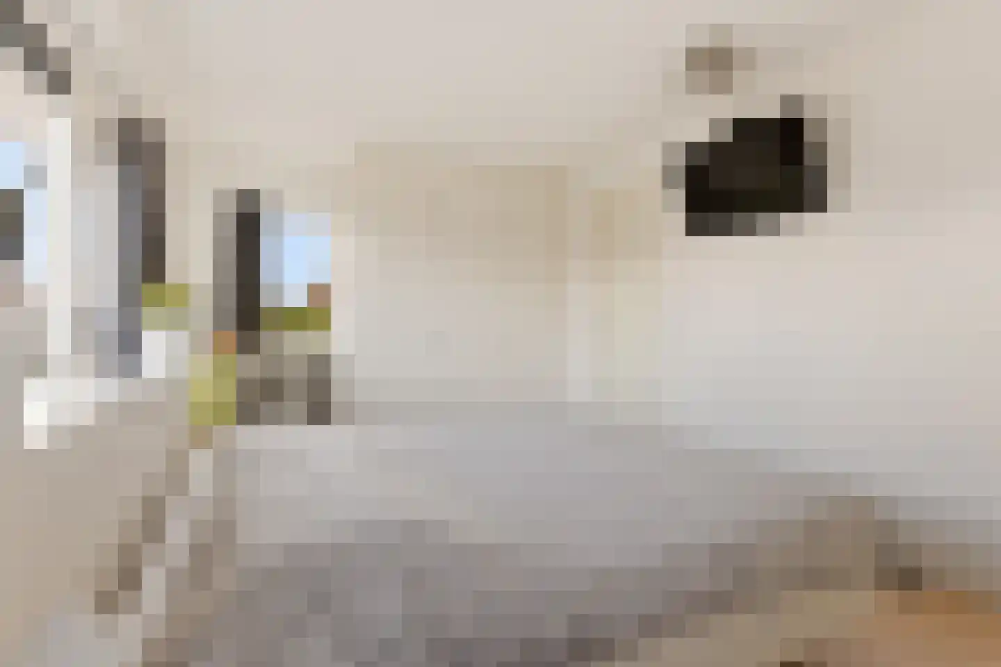 Kierkegaardhof 29 Huizen thumbnail 45