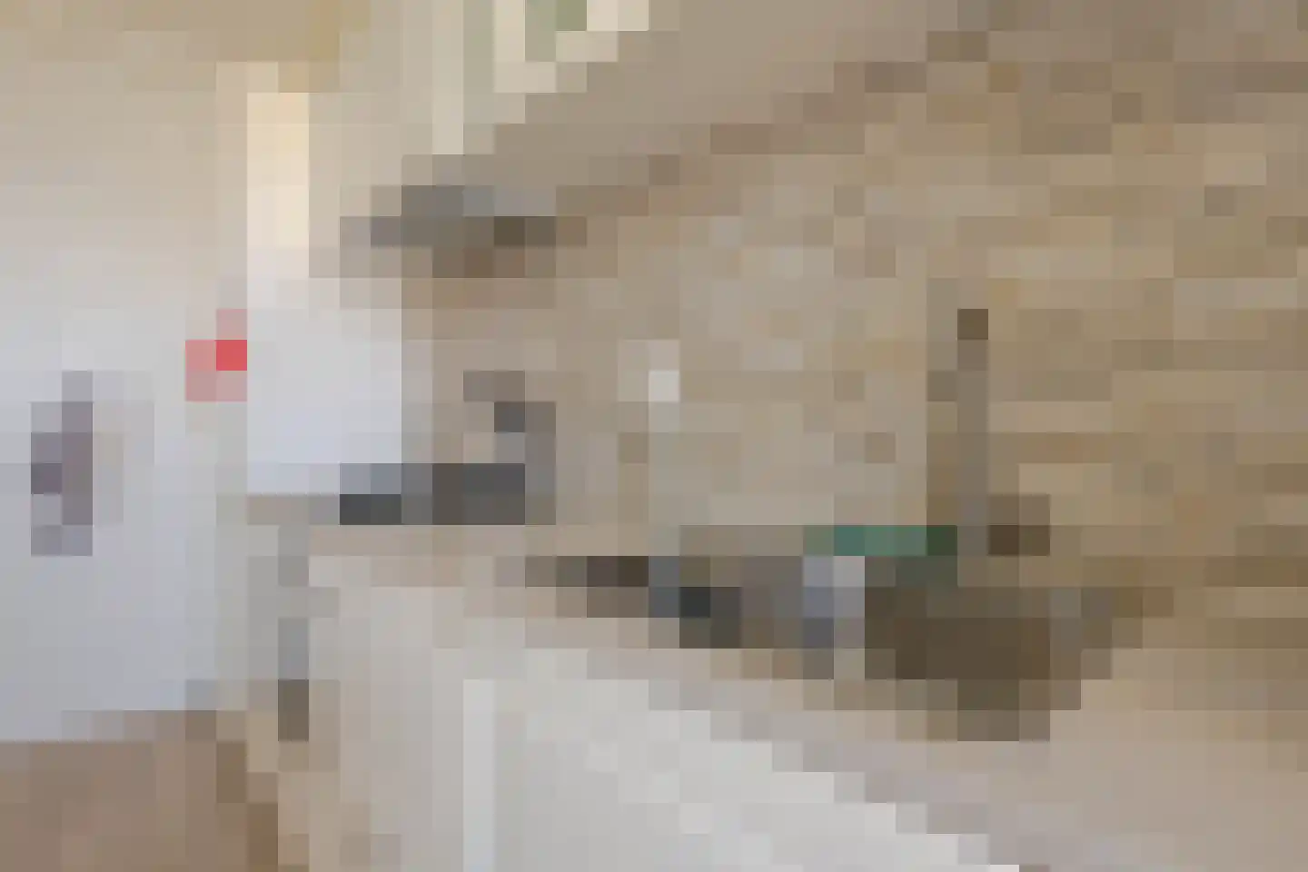 Kierkegaardstraat 28 Rotterdam thumbnail 17