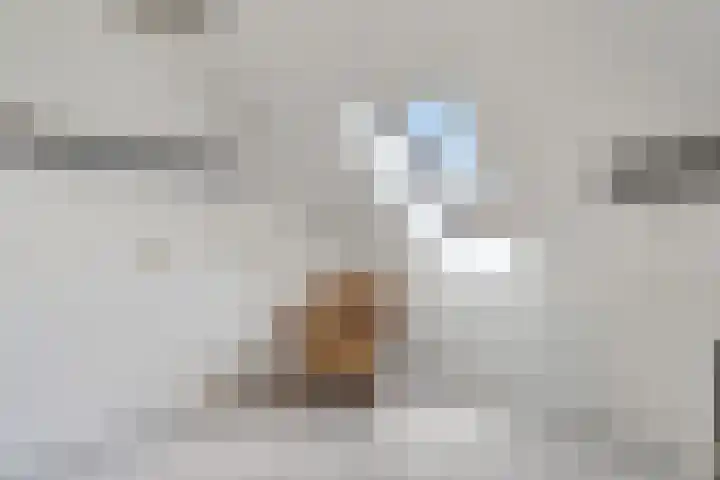 Kieskoel 14 Kerkrade thumbnail 13