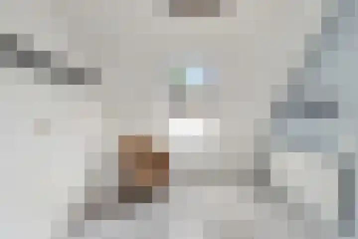 Kieskoel 14 Kerkrade thumbnail 14