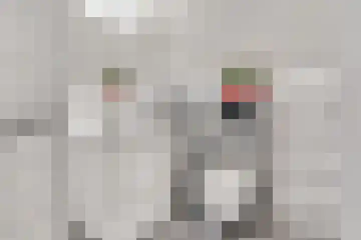 Kieskoel 14 Kerkrade thumbnail 8