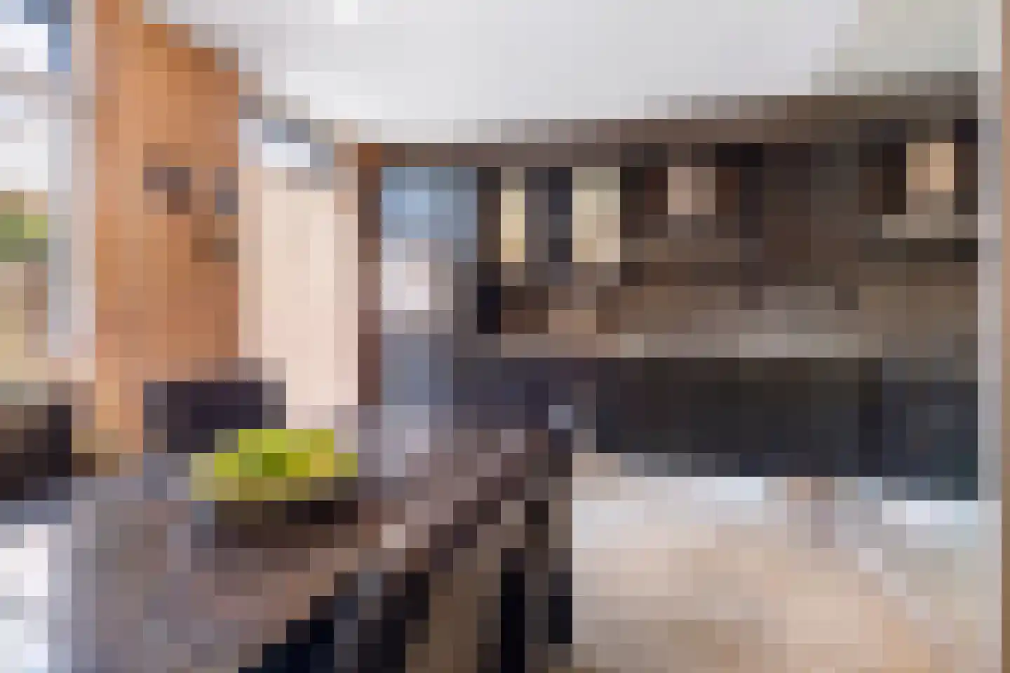 Kieskoel 32 Landgraaf thumbnail 9