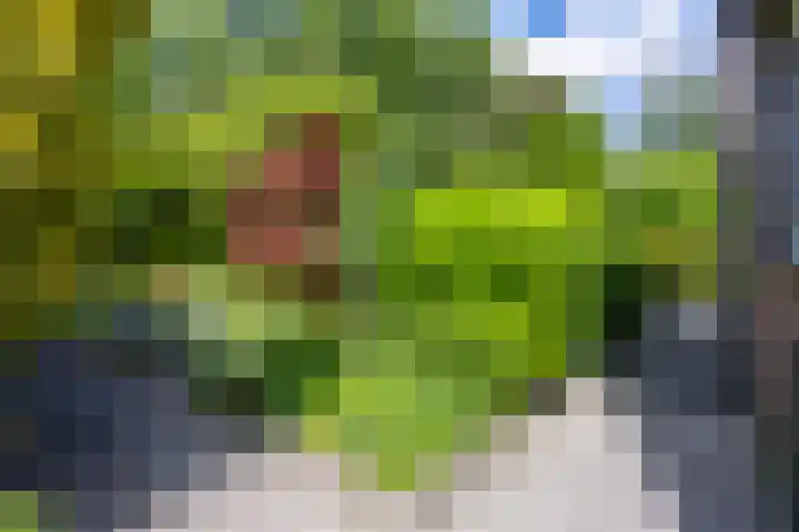Kieskoel 5 Kerkrade thumbnail 20