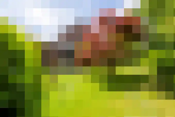 Kieskoel 5 Kerkrade thumbnail 22