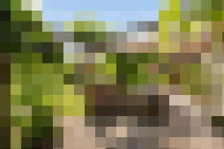 Kieveen 11 Westerbork thumbnail 23