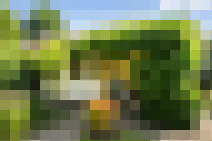 Kieveen 11 Westerbork thumbnail 25