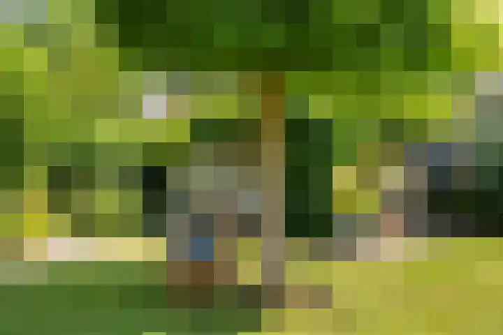Kieveen 11 Westerbork thumbnail 26