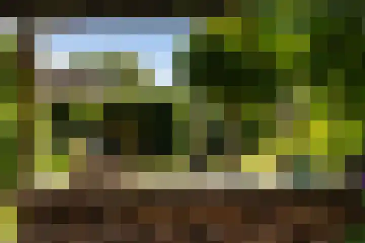 Kieveen 11 Westerbork thumbnail 31