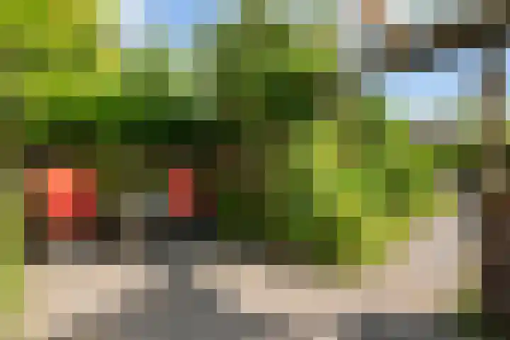 Kieveen 11 Westerbork thumbnail 32