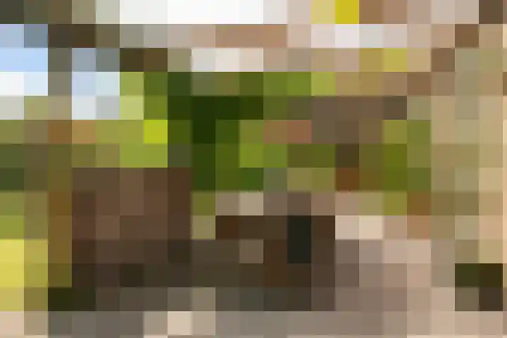 Kieveen 11 Westerbork thumbnail 33