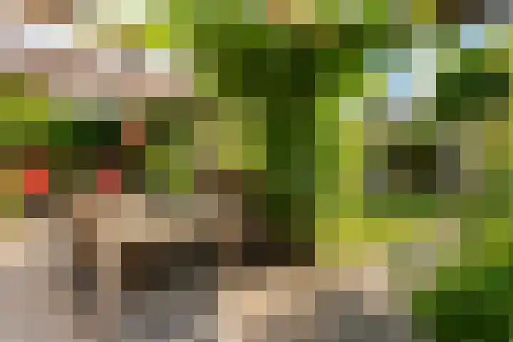 Kieveen 11 Westerbork thumbnail 34