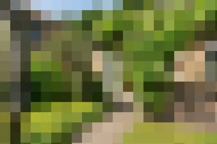 Kieveen 11 Westerbork thumbnail 36