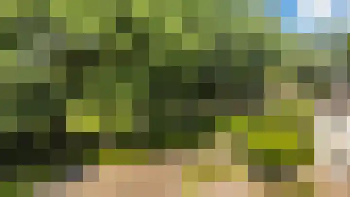 Kieveen 11 Westerbork thumbnail 38