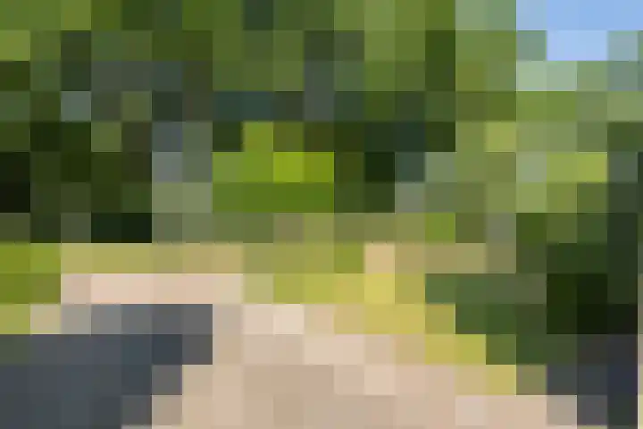Kieveen 11 Westerbork thumbnail 41