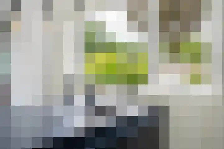 Kieveen 12 Westerbork thumbnail 11