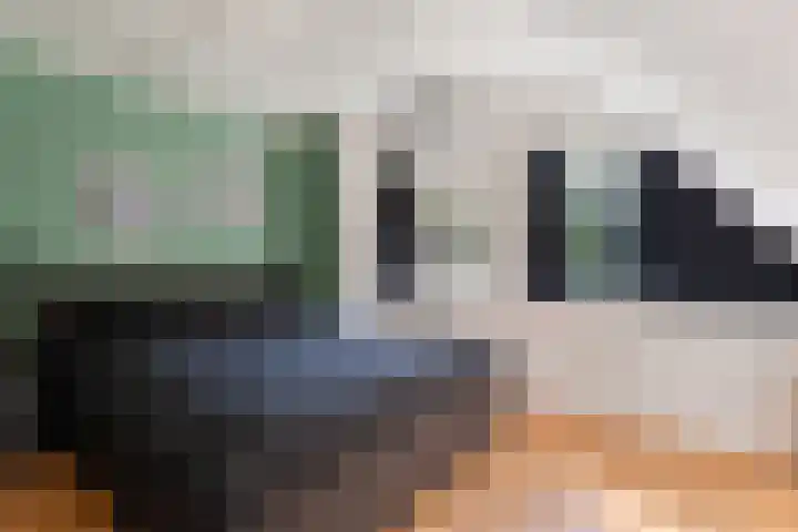Kieveen 12 Westerbork thumbnail 19