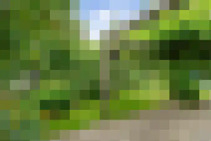 Kieveen 12 Westerbork thumbnail 34