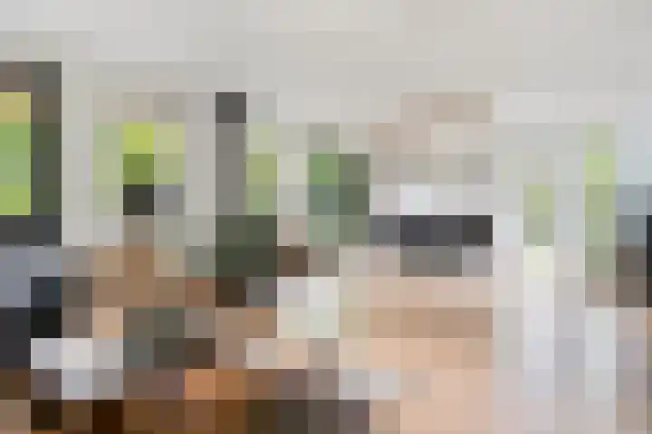 Kieveen 12 Westerbork thumbnail 6