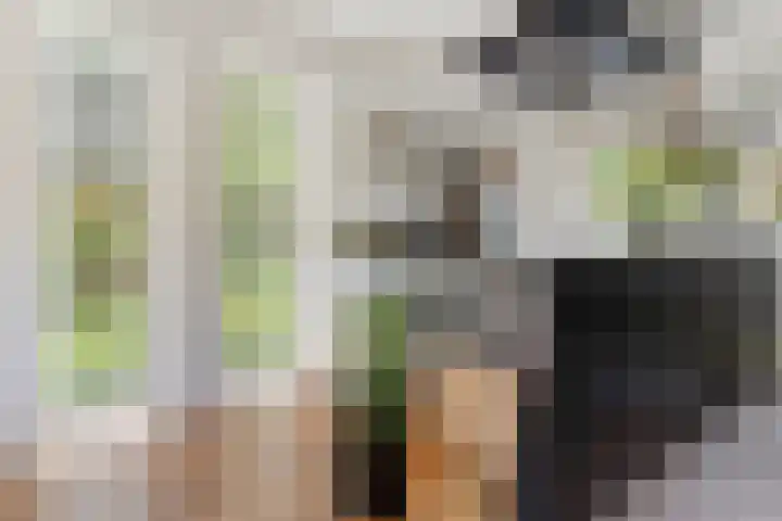 Kieveen 12 Westerbork thumbnail 9