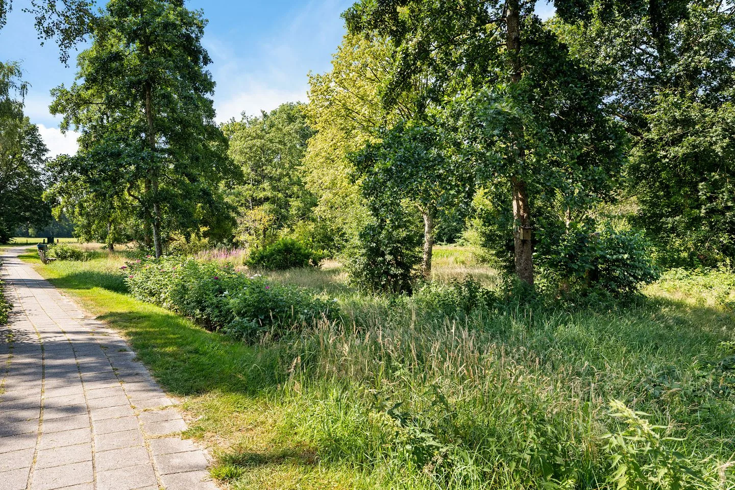 Kieveen 6 Westerbork thumbnail 59