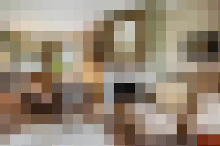 Kieveen 8 Westerbork thumbnail 17