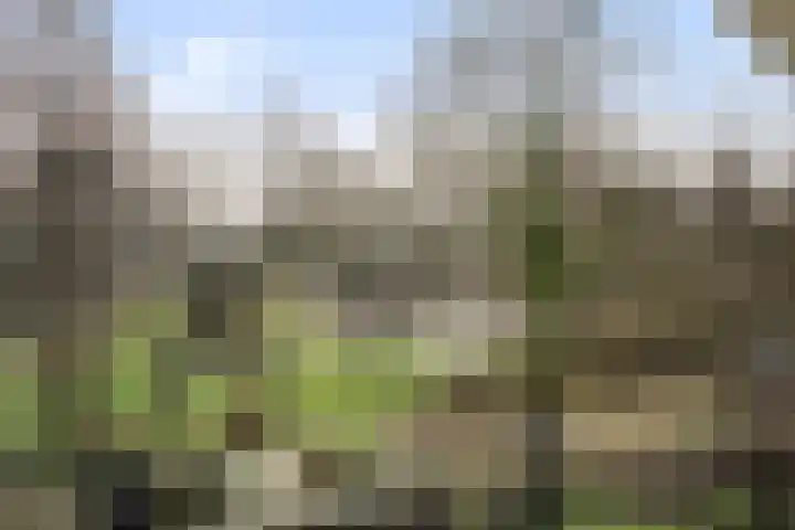 Kieveen 8 Westerbork thumbnail 30