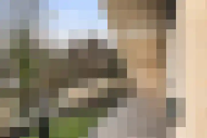 Kieveen 8 Westerbork thumbnail 31