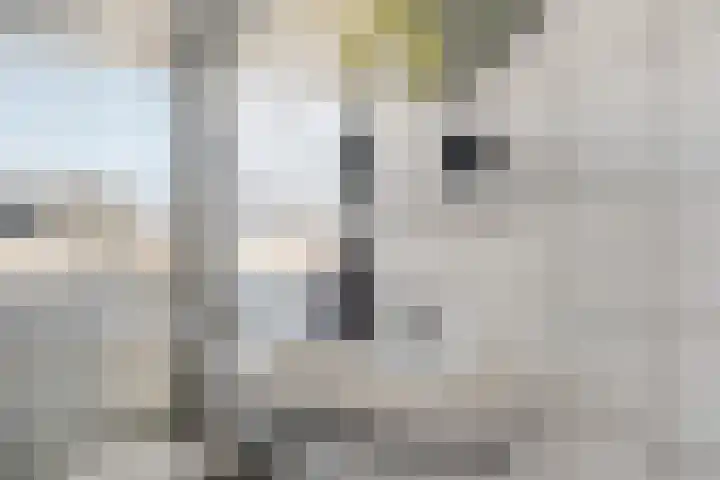 Kieveen 8 Westerbork thumbnail 32