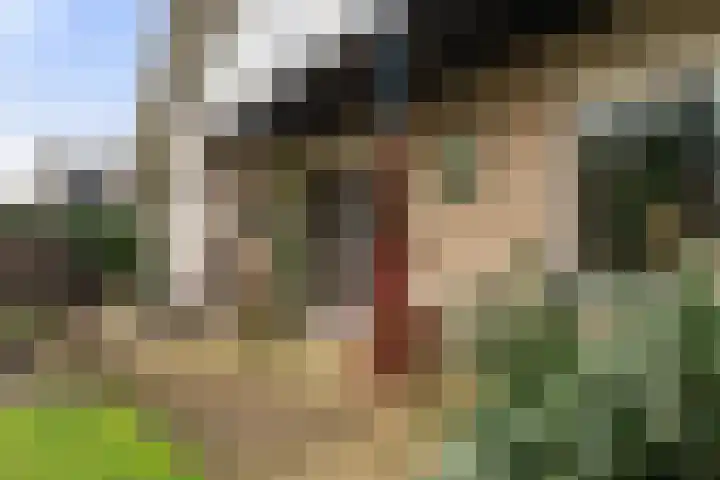 Kieveen 8 Westerbork thumbnail 37