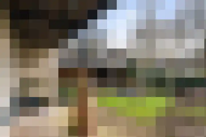 Kieveen 8 Westerbork thumbnail 38