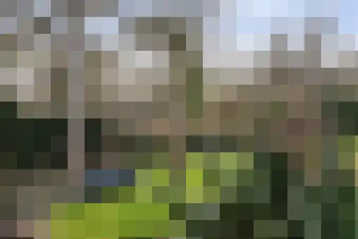 Kieveen 8 Westerbork thumbnail 39