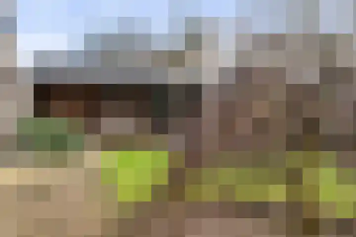 Kieveen 8 Westerbork thumbnail 40