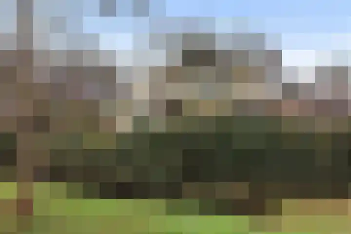 Kieveen 8 Westerbork thumbnail 41