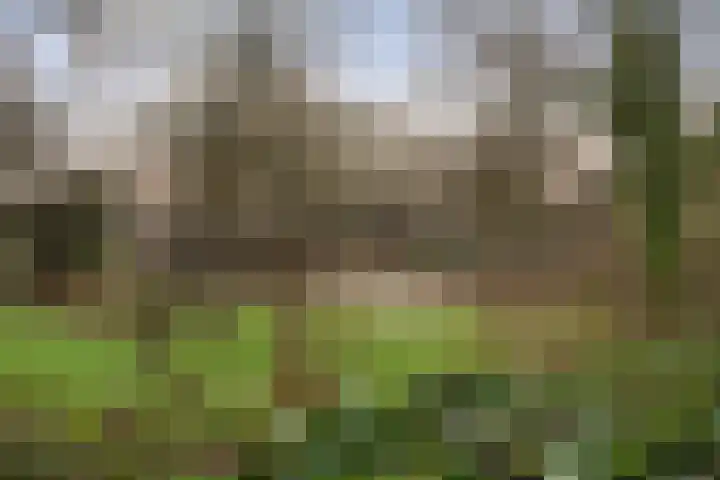 Kieveen 8 Westerbork thumbnail 42
