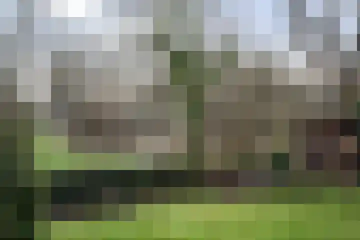 Kieveen 8 Westerbork thumbnail 45