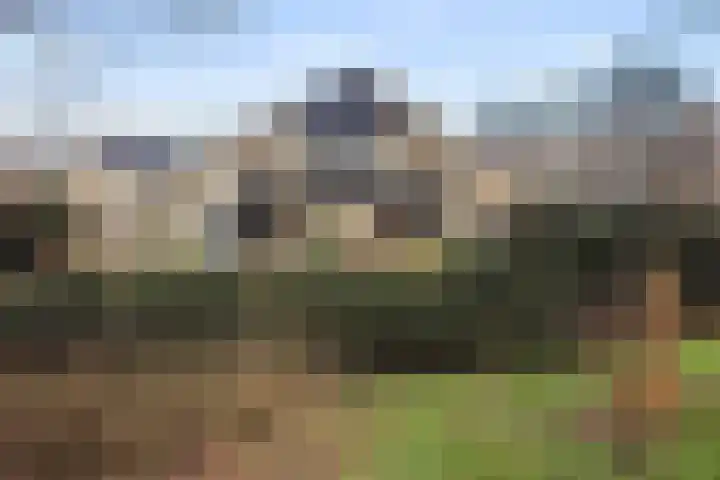 Kieveen 8 Westerbork thumbnail 46